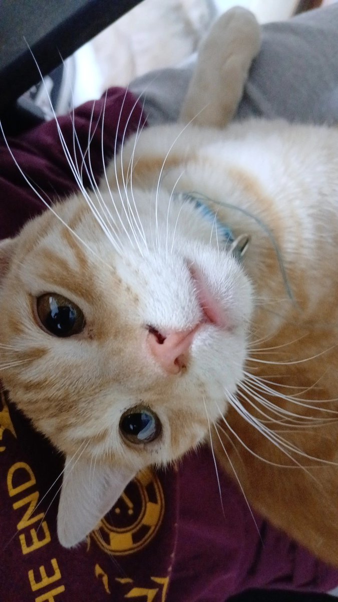 day ⊙⊝⊜ tweet media