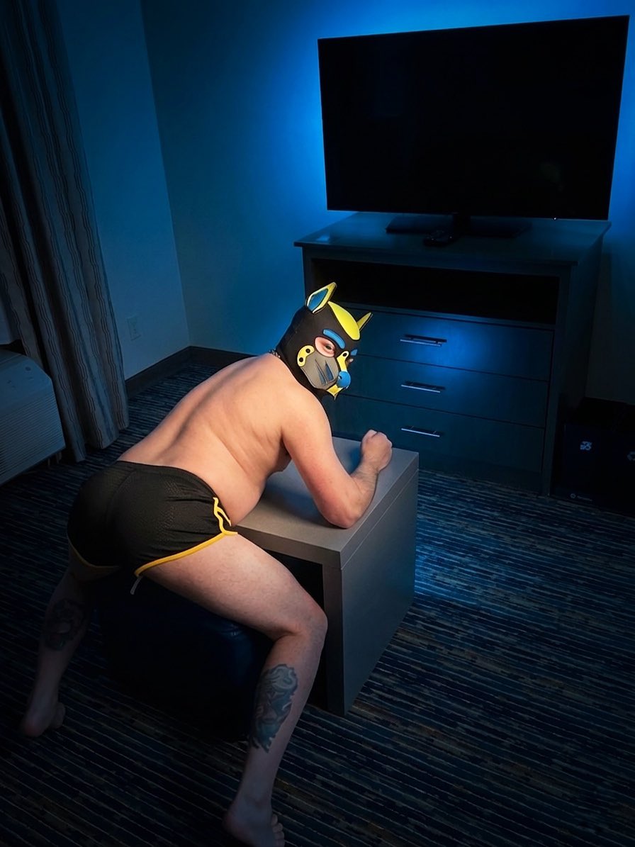 Pup Spike tweet media