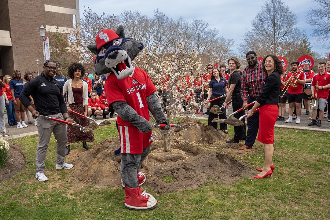 Stony Brook Alumni tweet media