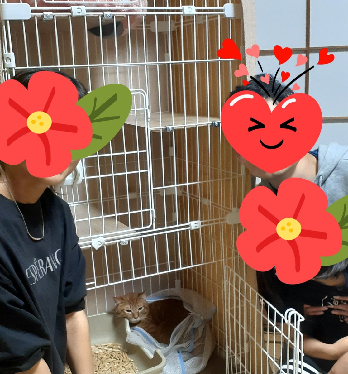 ふあり tweet media