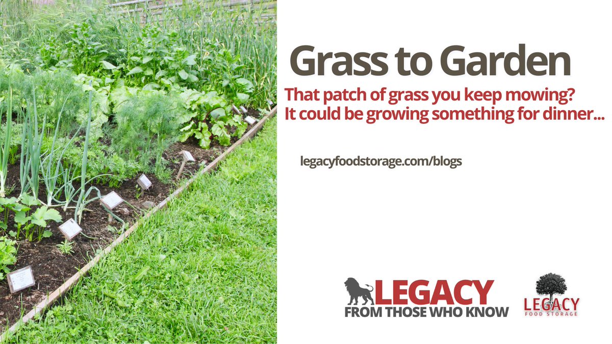 Legacy Food Storage tweet media