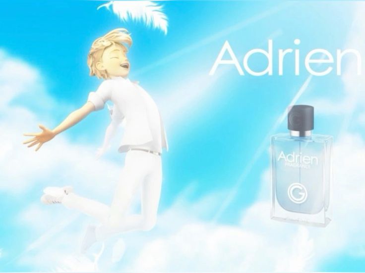 𝐙⋆˚🐞🐾˖° tweet media