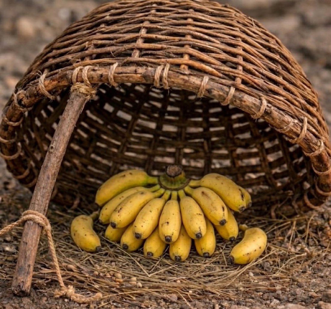 🇸🇦AT tweet media