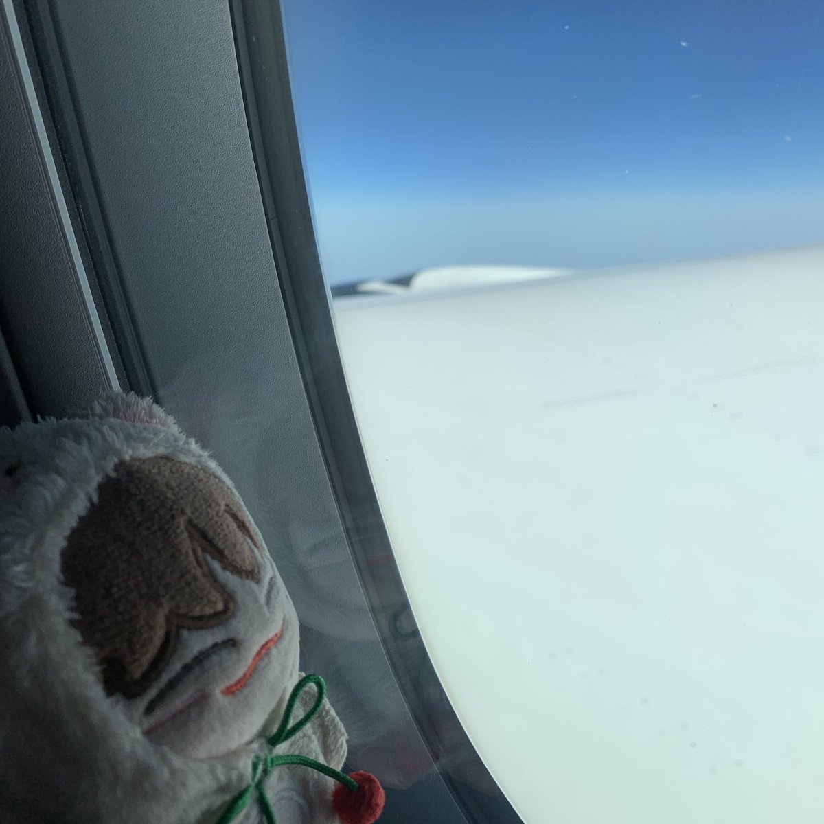 𝕣𝕦𝕓𝕪 tweet media