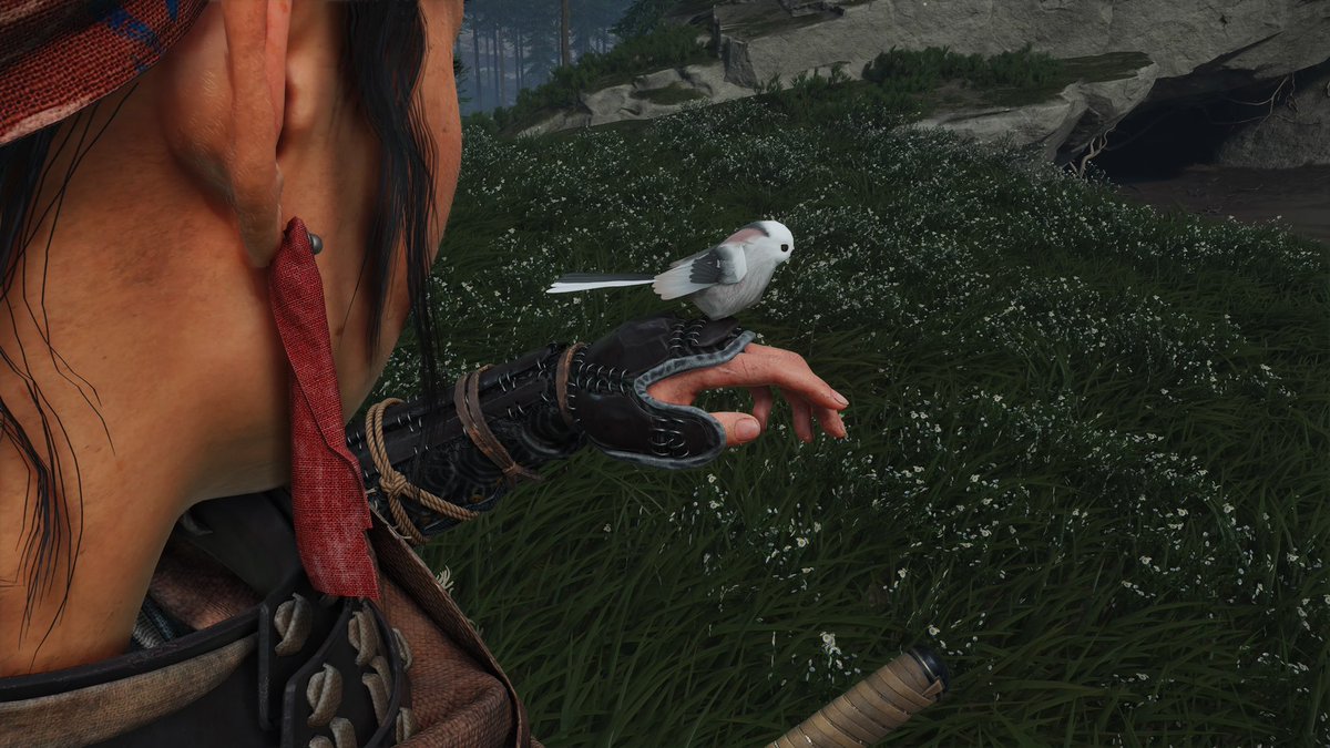 シマエナガ、放置してたら手に止まりに来てくれることを知り幸