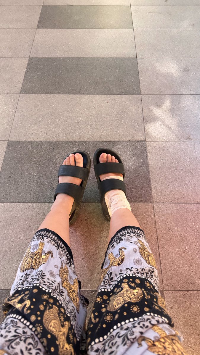 little bunny tweet media