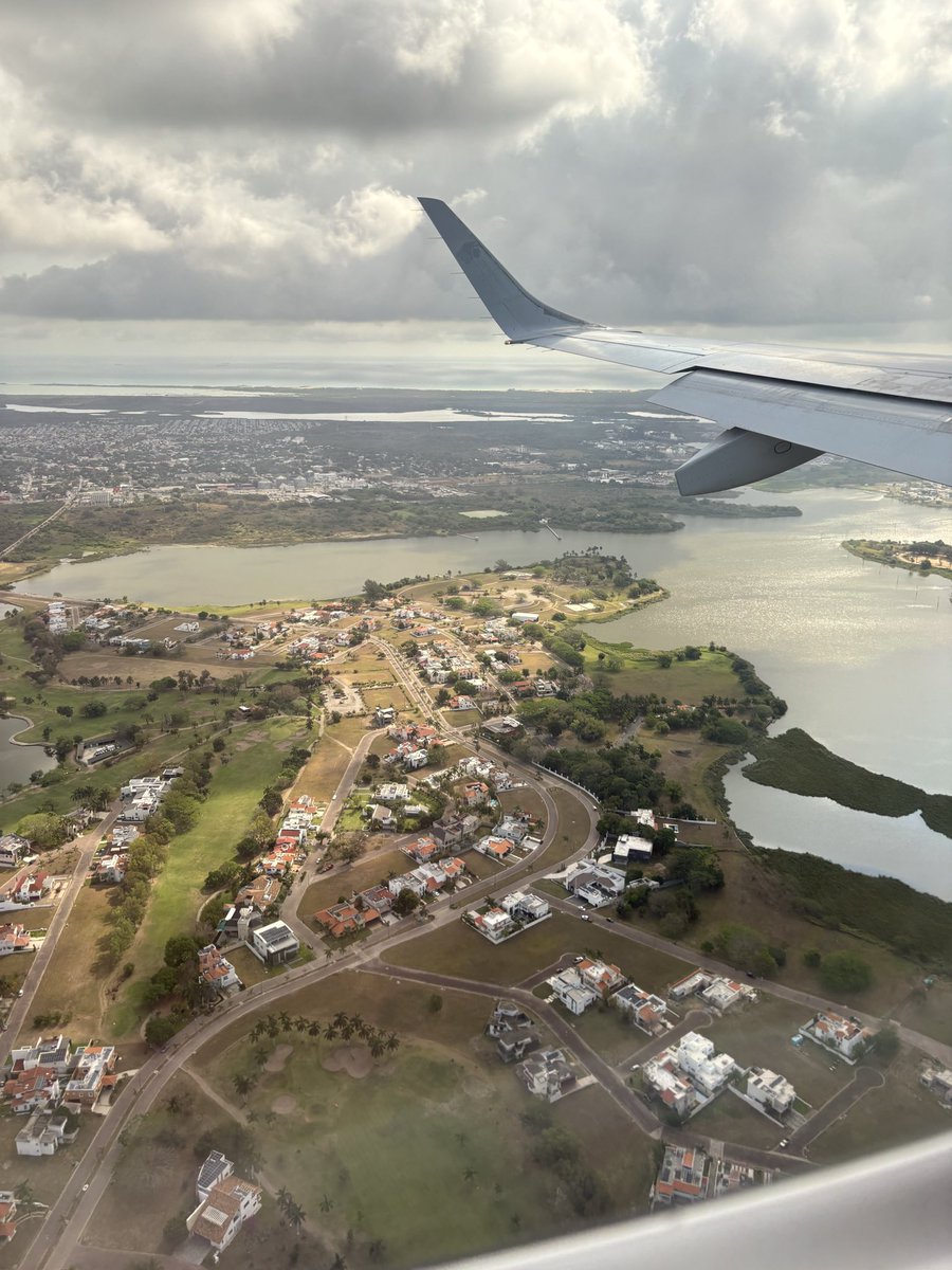 El Renacido tweet media