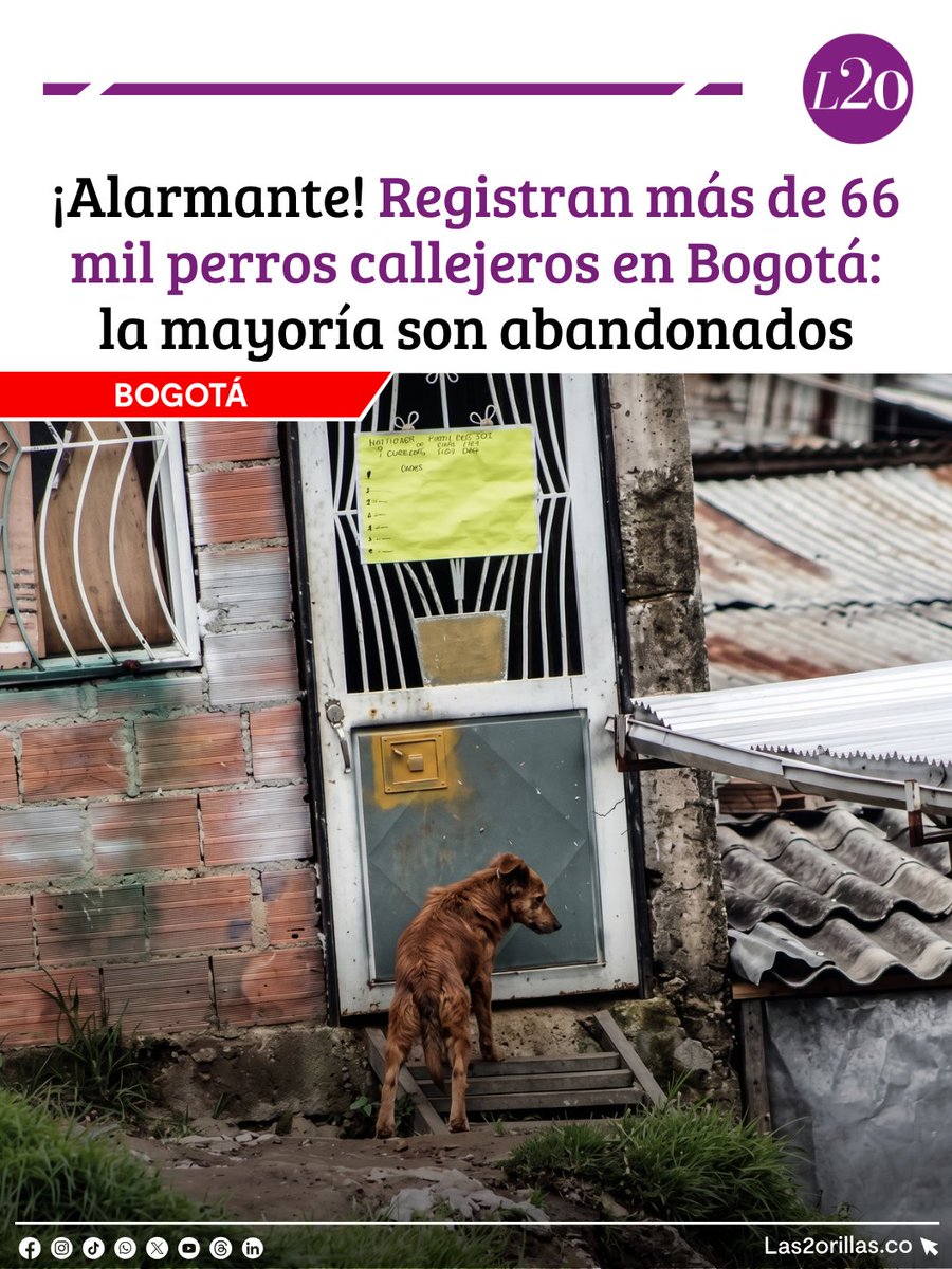 Las2orillas tweet media