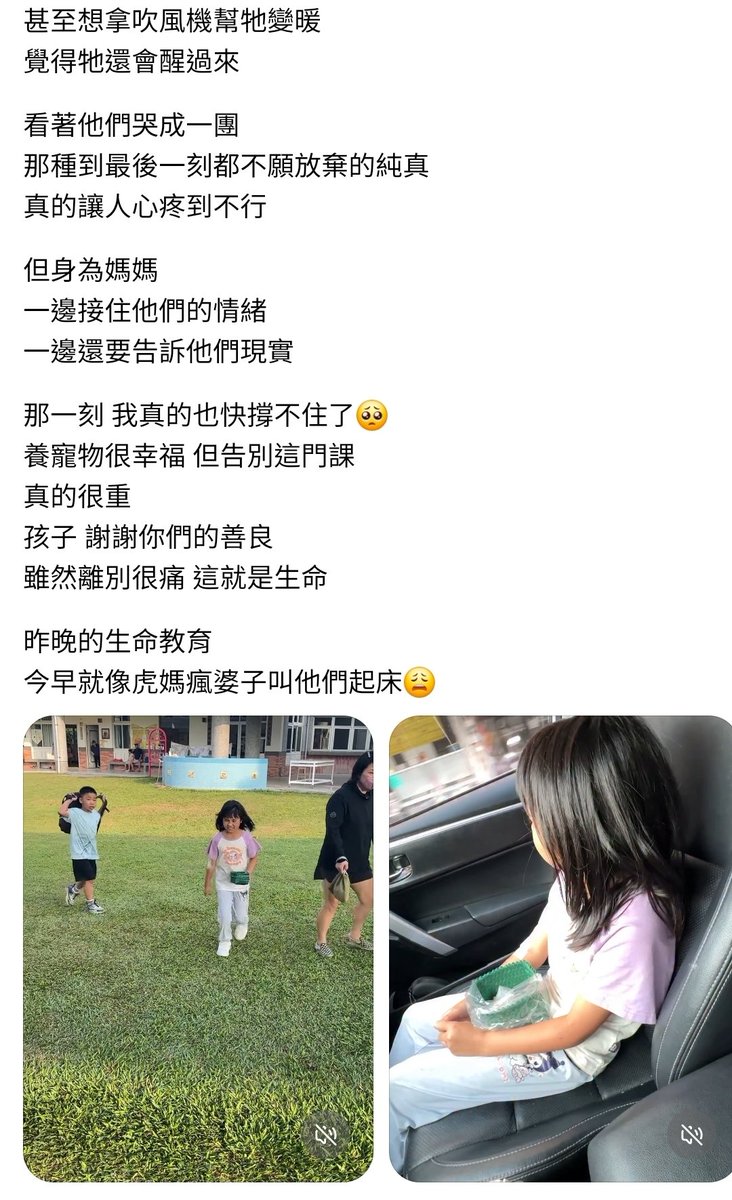 蟒龜Krieg tweet media