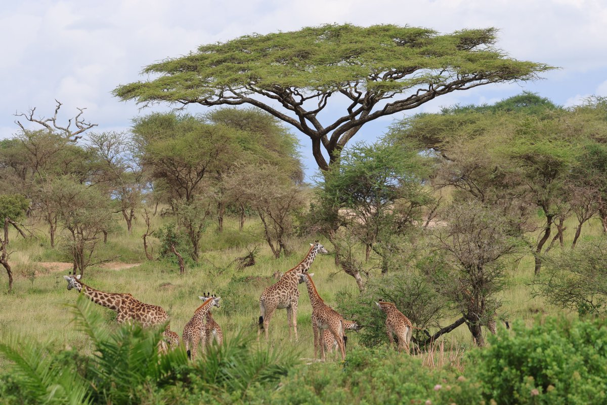 Lee Lewis tweet media