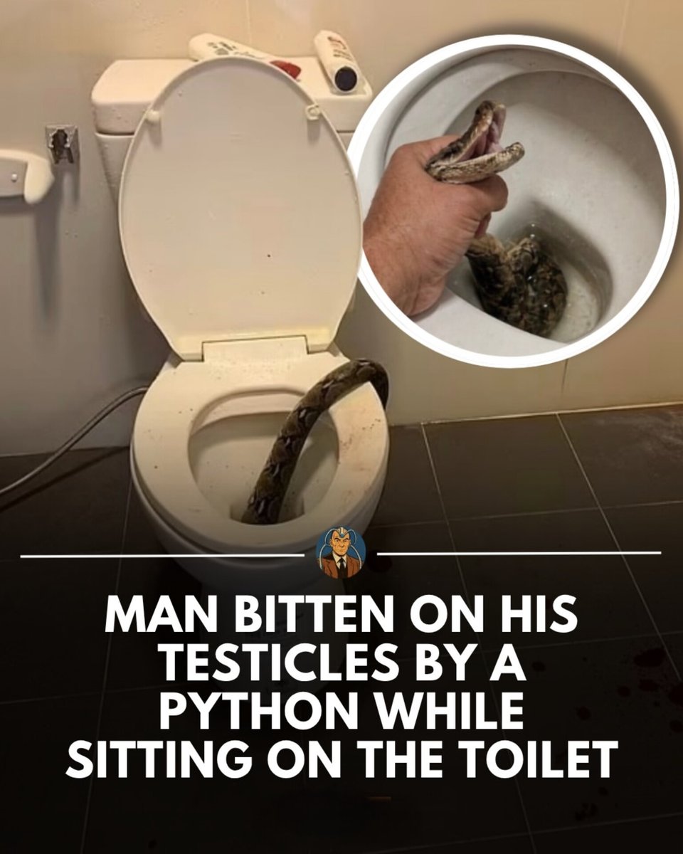 The World R🅰️nking tweet media