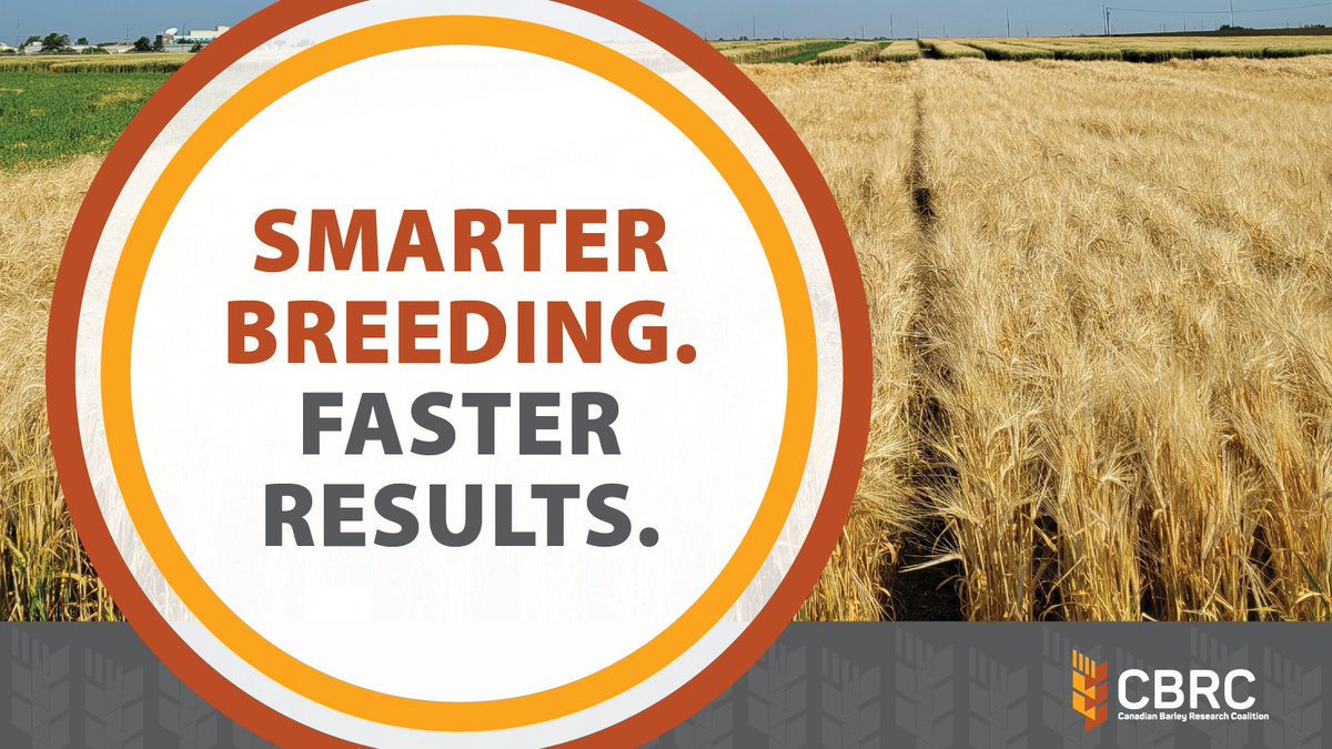 Canadian Barley Research Coalition tweet media