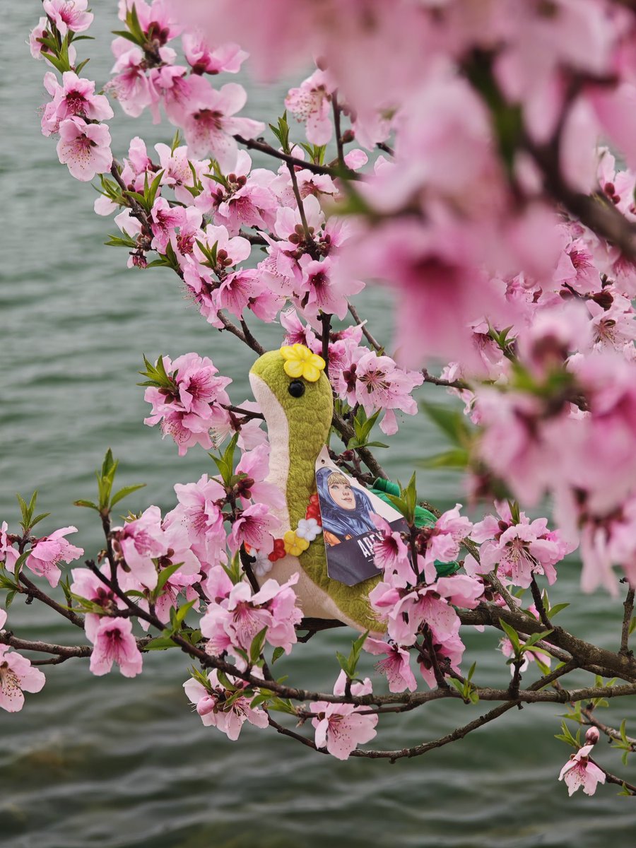 Clara557332's tweet photo. Nessie and I soaking in the floral vibes.#ApexLegends #Nessie https://t.co/QmlzZPYjA0