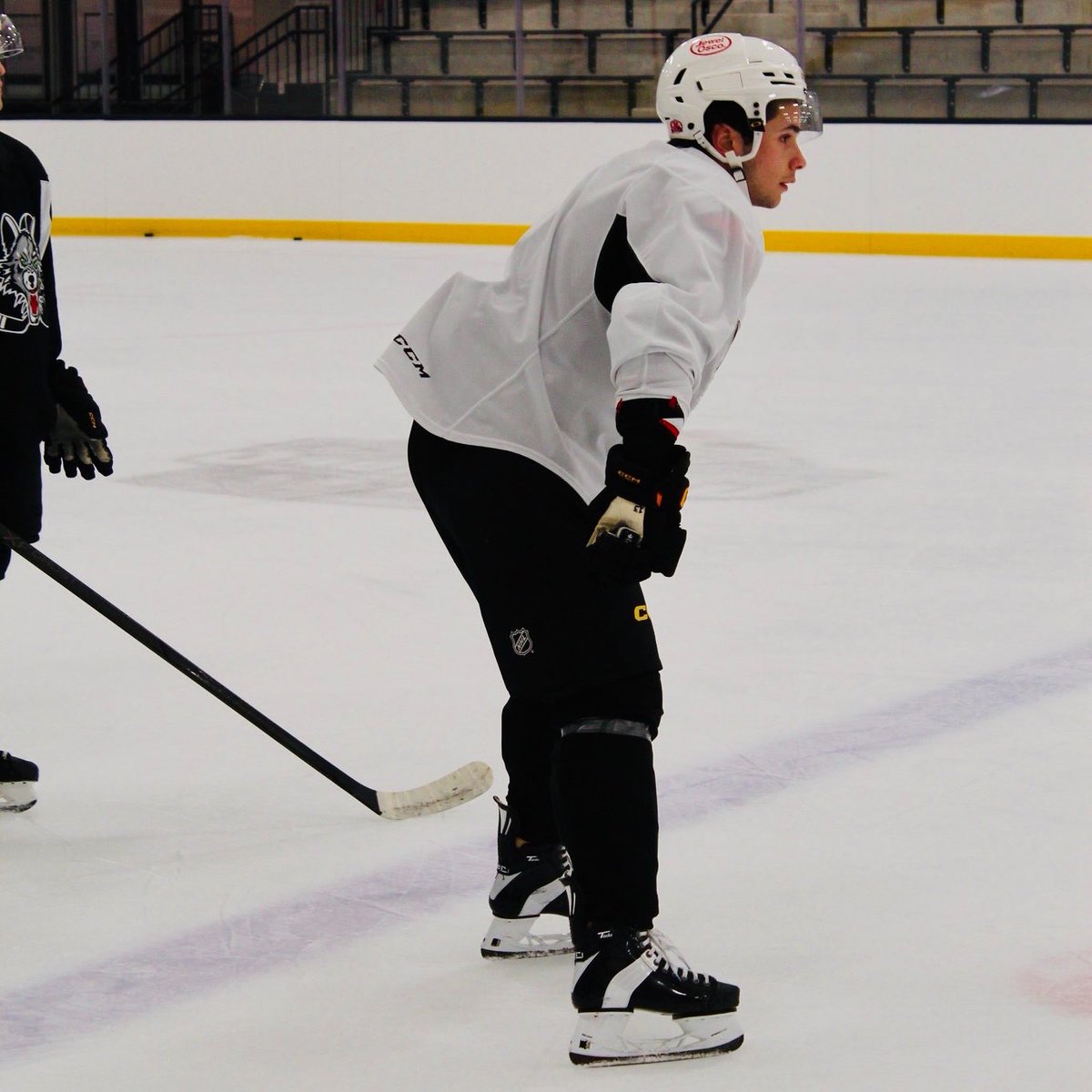 x- Chicago Wolves tweet media