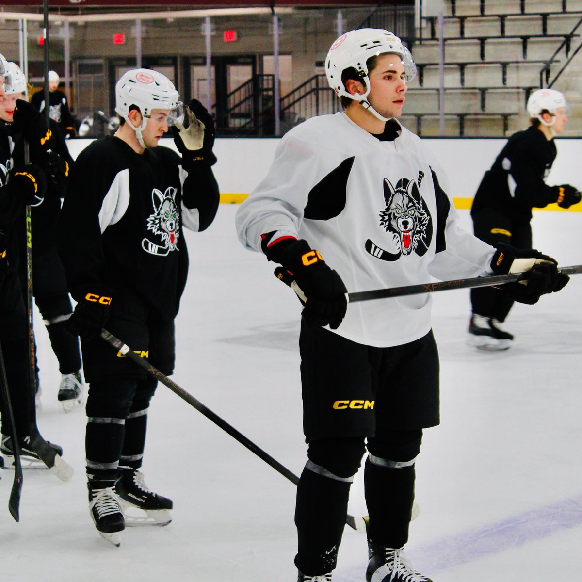 x- Chicago Wolves tweet media