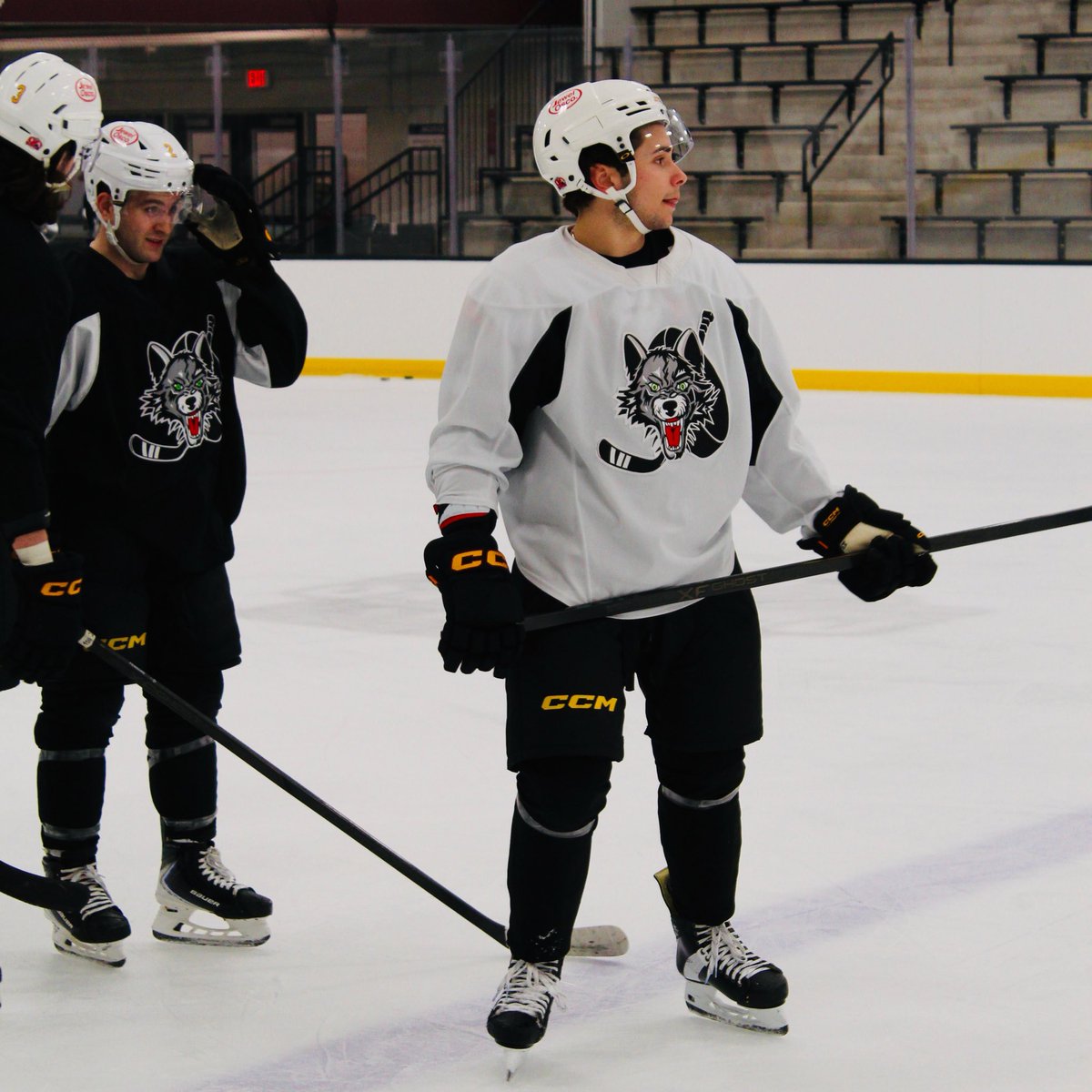 x- Chicago Wolves tweet media