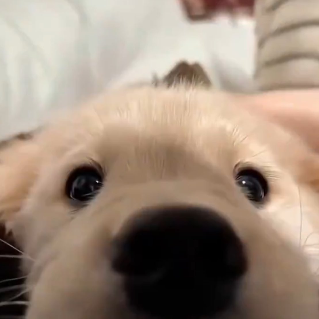 lloveat's tweet photo. https://t.co/jrc6DEji4b