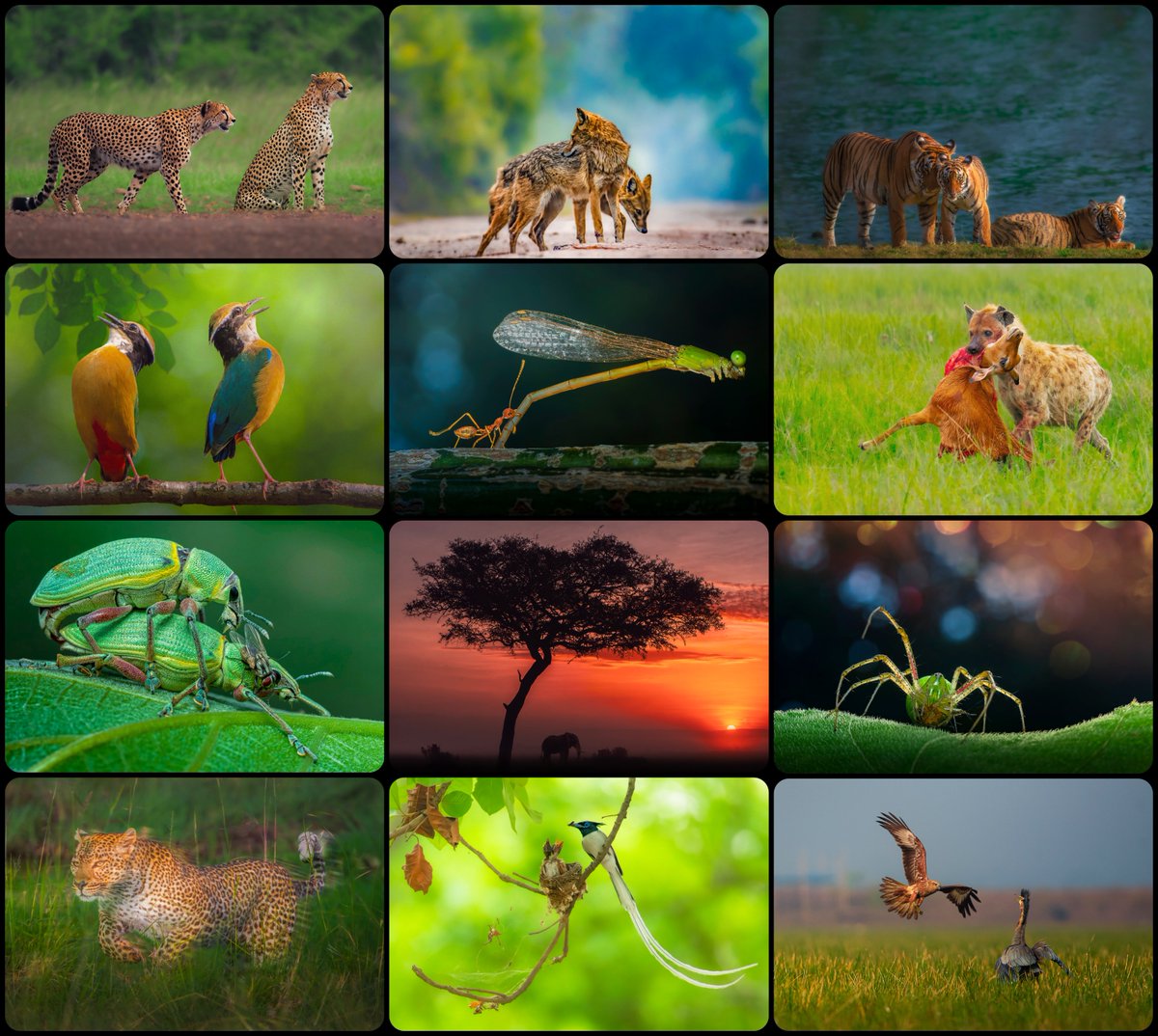 arijitmondal1's tweet image. Earth is Beautiful .. Earth is Magical
Earth is Vibrant .. Earth us Mystical
Earth is Dynamic .. Earth is a Spectacle
Save our Earth 🌍🌏🌎
Happy Earth Day !!!

#Earthday #HappyEarthDay #SaveOurPlanet