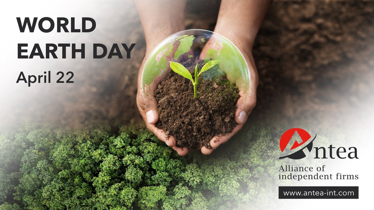 ANTEA Alliance of Independent Firms tweet media