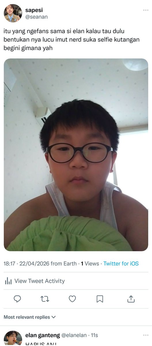 syell 🐚 tweet media