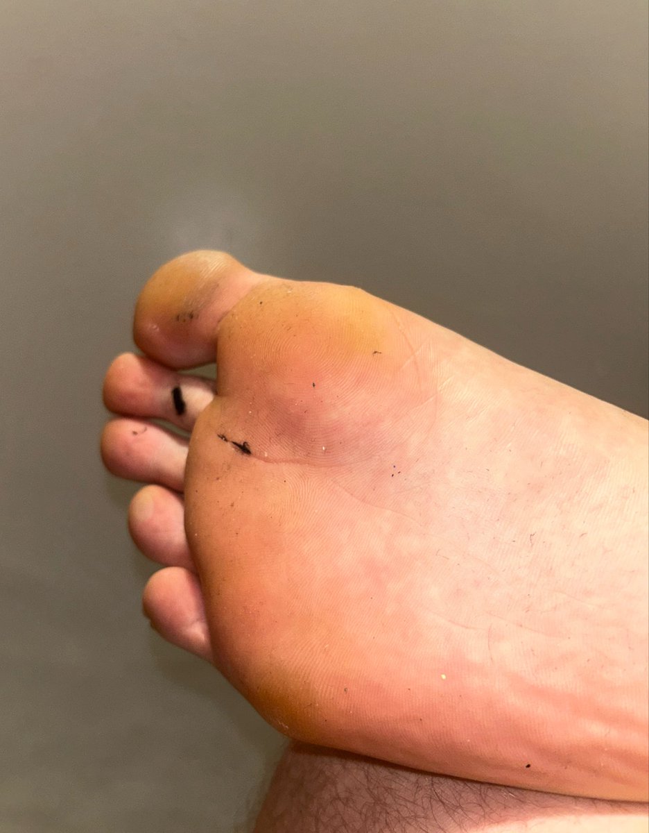 makefinnrich's tweet photo. Just finished up a long gym session and for you pigs asking if my feet get sweaty or smell here’s your answer 🤢

I could feel the sweat between my toes 🤑

-Findom paypig teen master smelly feet work boots foot uk Ireland football team group slave family slave bitch cleaning sub https://t.co/gvoJheWFc8