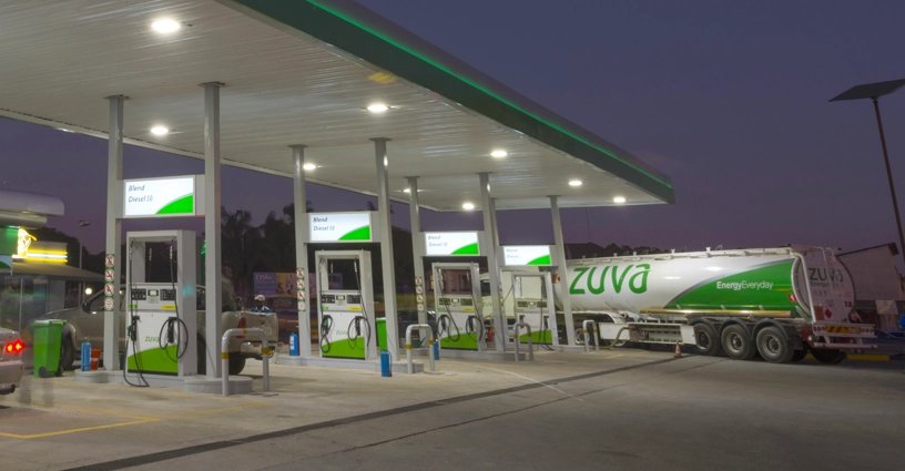 Team Pachedu tweet media