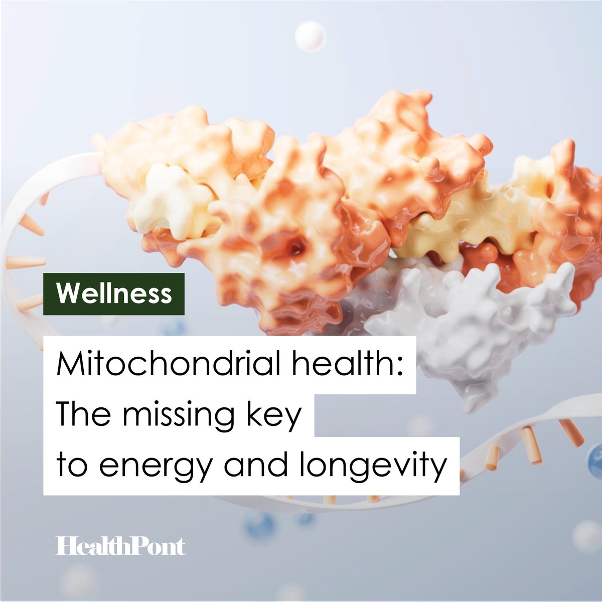 HealthPont tweet media