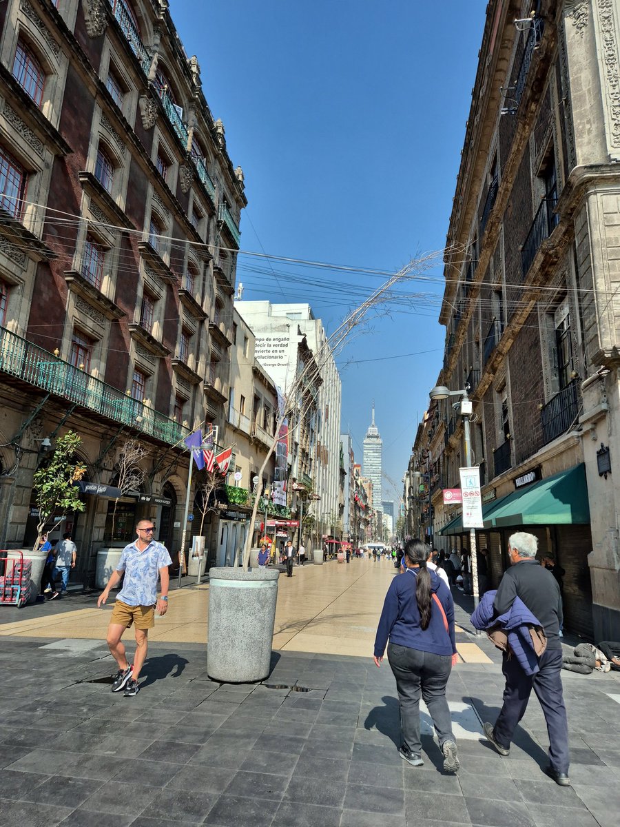 Areli Carreón 🇵🇸 tweet media