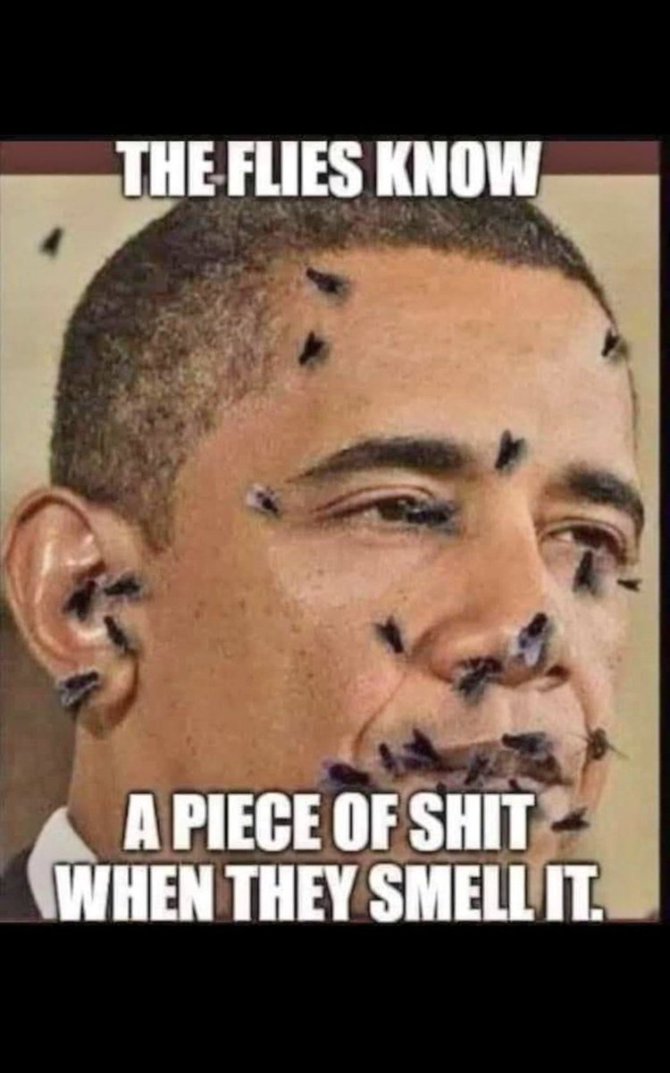 champagne_air's tweet photo. @TrumpDailyPosts @ProtecttheFaith Hello beautiful #OBOMINATION #abomination a trader to the Country a trader to Americans the biggest mistake America ever did arrest Obama. https://t.co/imKklhQU9g