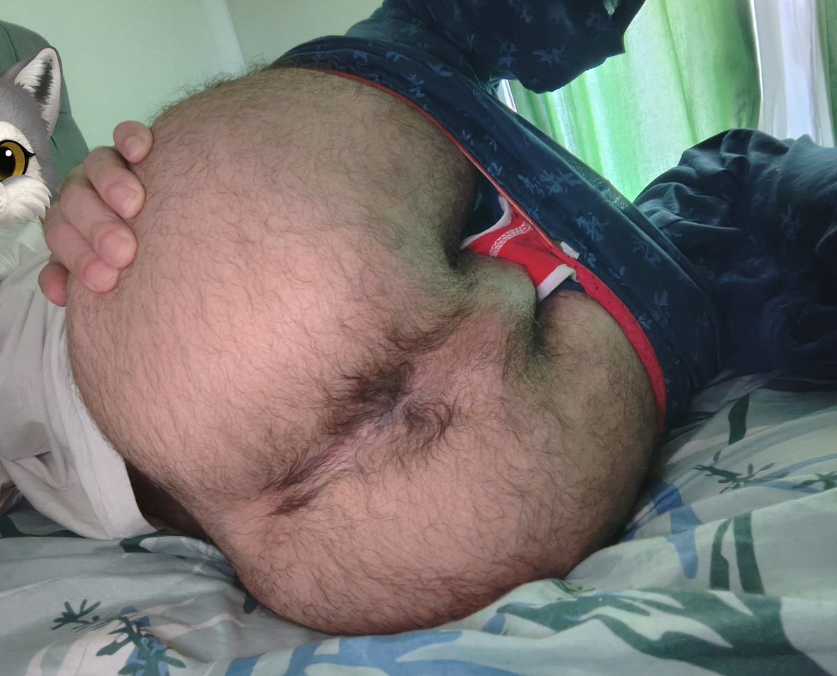 Cabeludo, Peludo e Putão tweet media