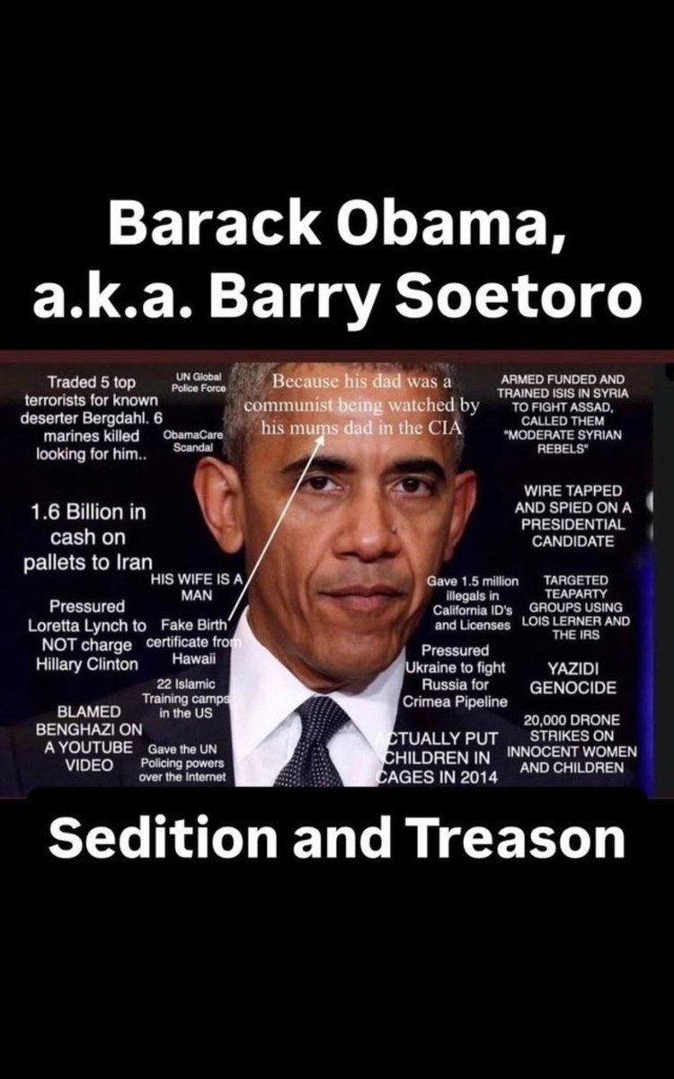 champagne_air's tweet photo. @TrumpDailyPosts @ProtecttheFaith Hello beautiful #OBOMINATION #abomination a trader to the Country a trader to Americans the biggest mistake America ever did arrest Obama. https://t.co/imKklhQU9g