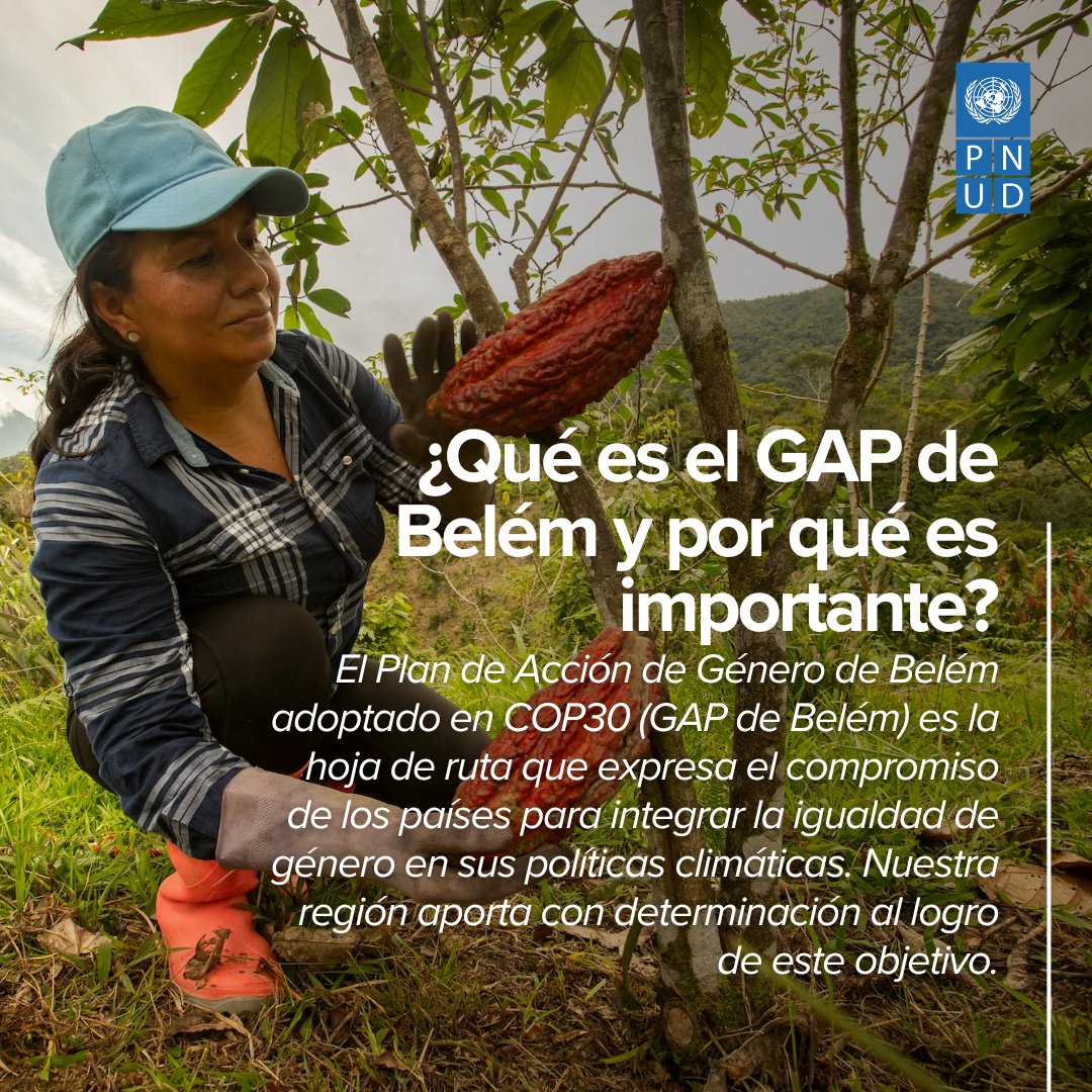 PNUD_ALGenera's tweet photo. A partir de un análisis sistemático, la publicación identifica avances, brechas y oportunidades en la integración de la igualdad de género en las políticas climáticas.

También muestra cómo estos avances pueden escalarse en el marco del Plan de Acción de Género de Belém. https://t.co/FmUWDneDl2
