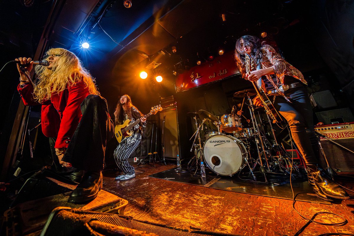 居駒ハラマキ tweet media