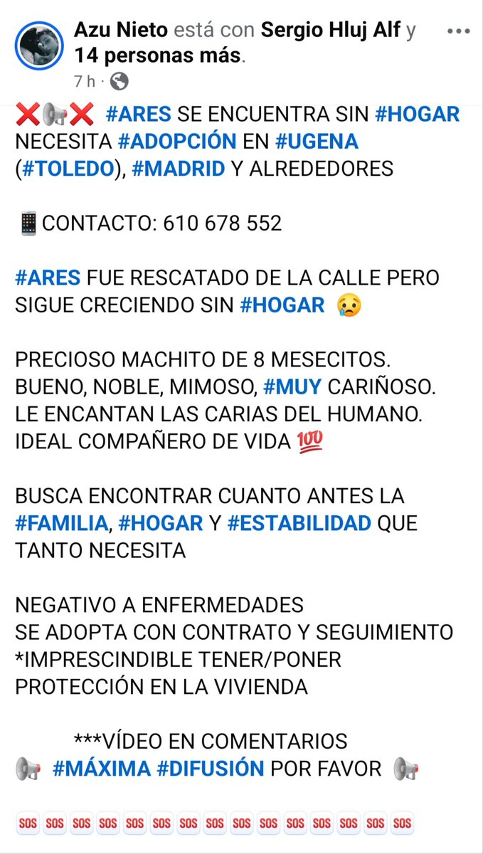 María Viñuela del Jeso tweet media
