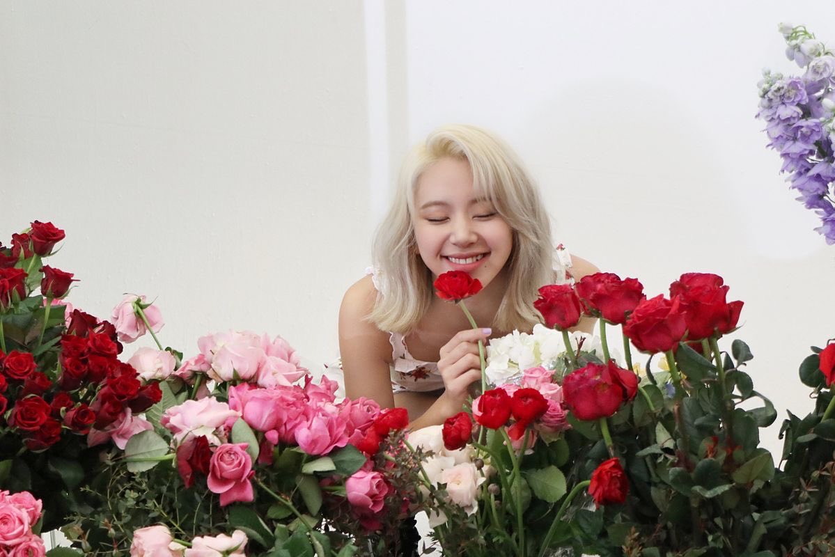 twice old files tweet media