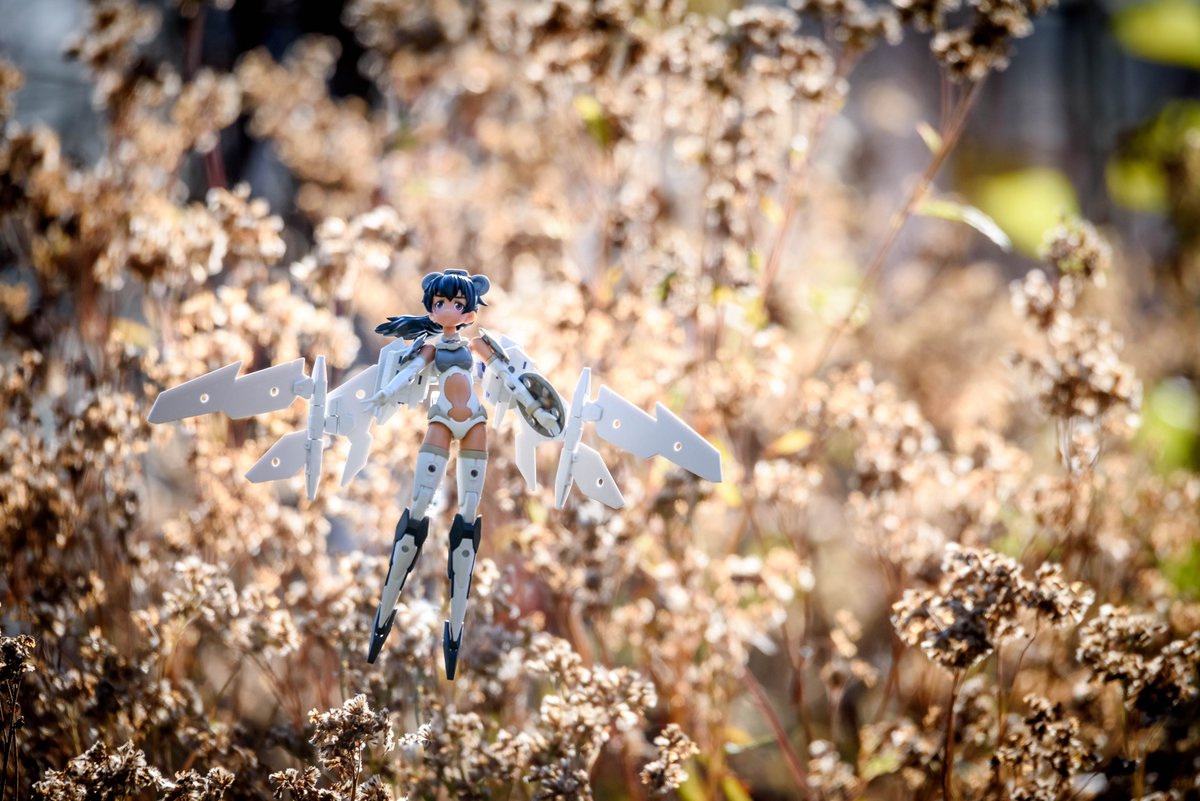 ふくねこ＠（のりお） tweet media