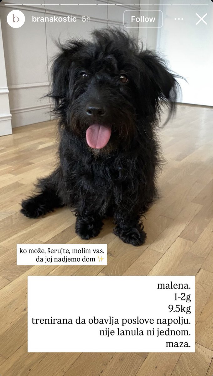 Vlasnik je ne zeli, kaze pustite je na ulicu. Ubicu se sad i odmah