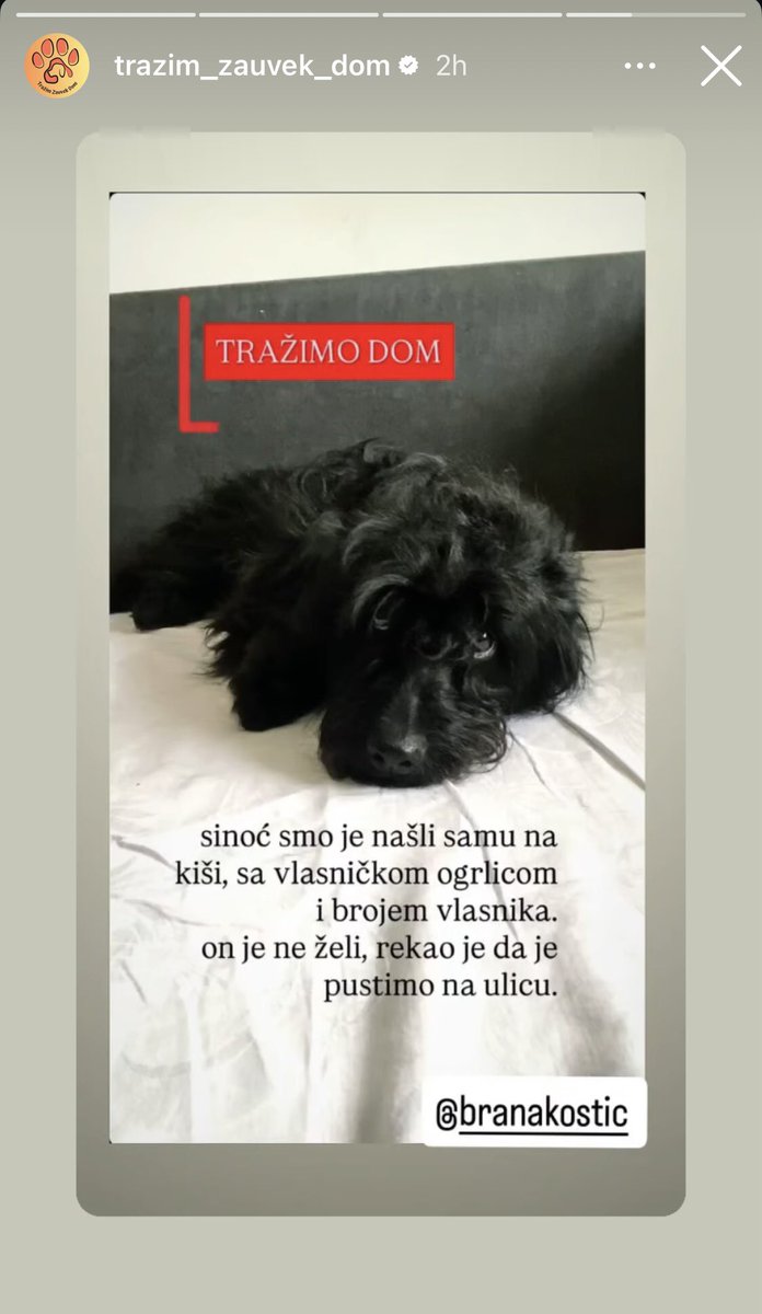 OD TOG MOZ SE POLUDI tweet media