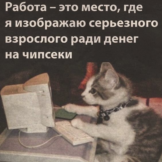 и шакаладочки