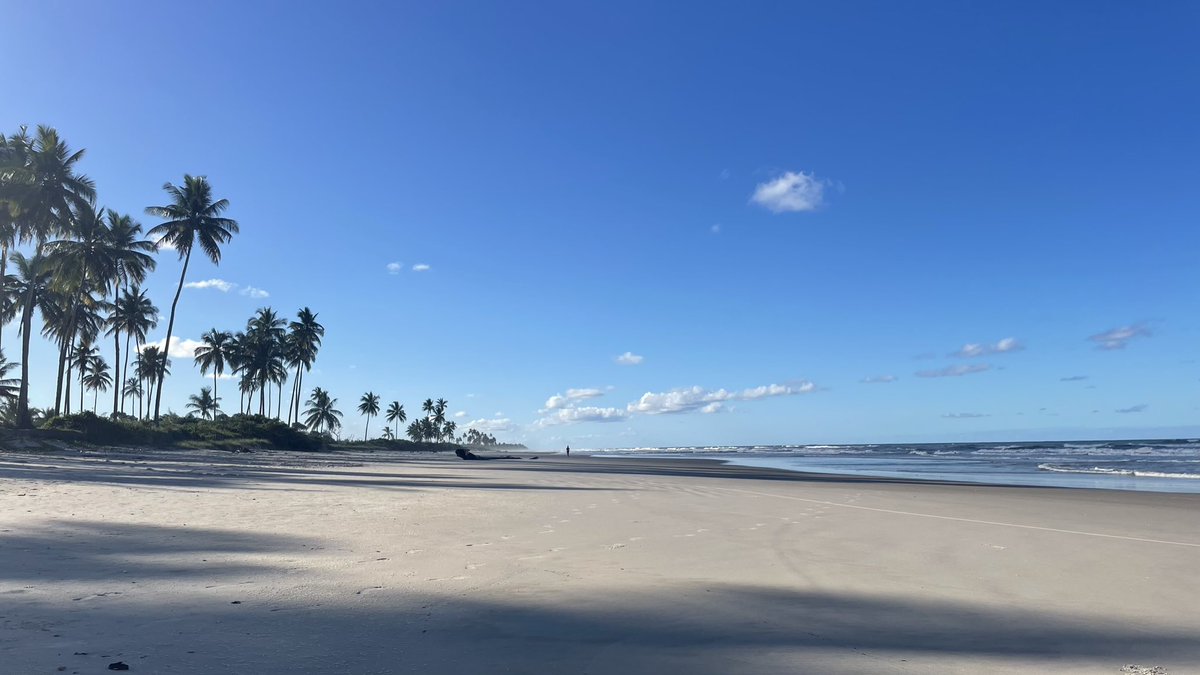 nananinanay tweet media