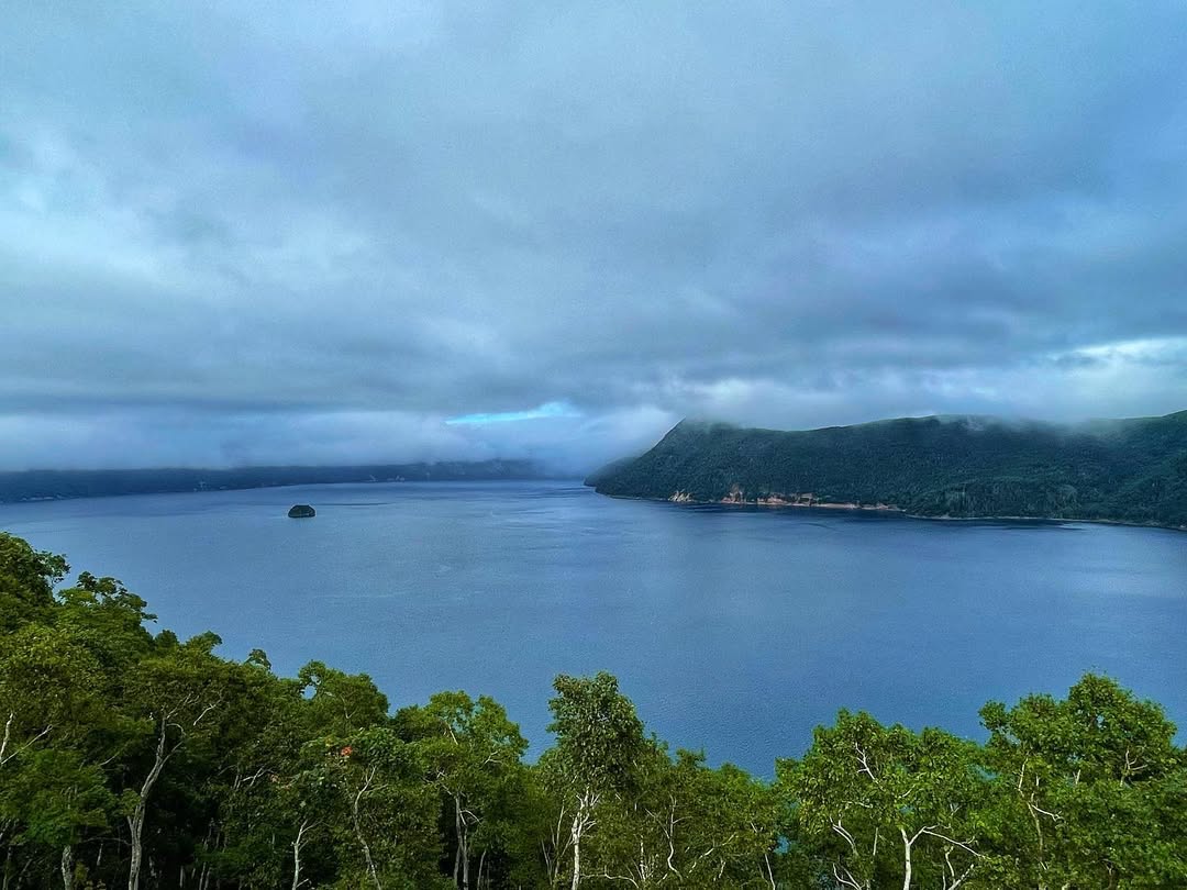 Observing a spider craft a fresh web