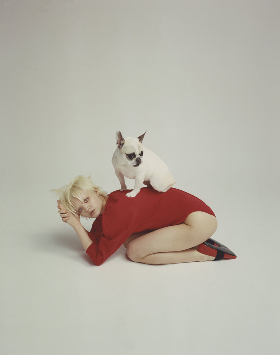 Lula Japan ルラ ジャパン tweet media