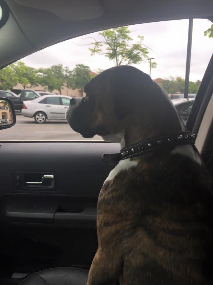 🇺🇸 Bekah 🇺🇸 tweet media