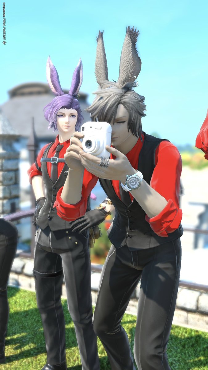 バル：F： tweet media