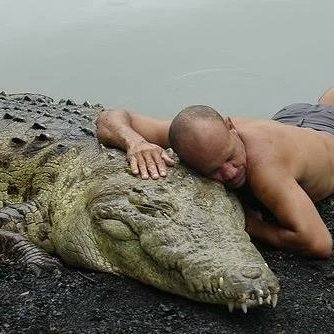 Cultination tweet media