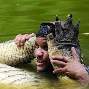 Cultination tweet media