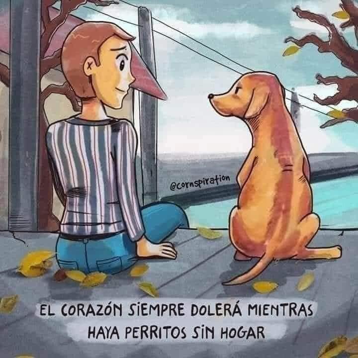 gllgina1's tweet image. #AdoptaNoCompres