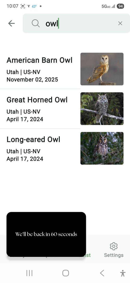 photosbyglenn's tweet image. Rosie on Mt. Rosie at night. She loves the owls. We have three different kinds. 

#dogs