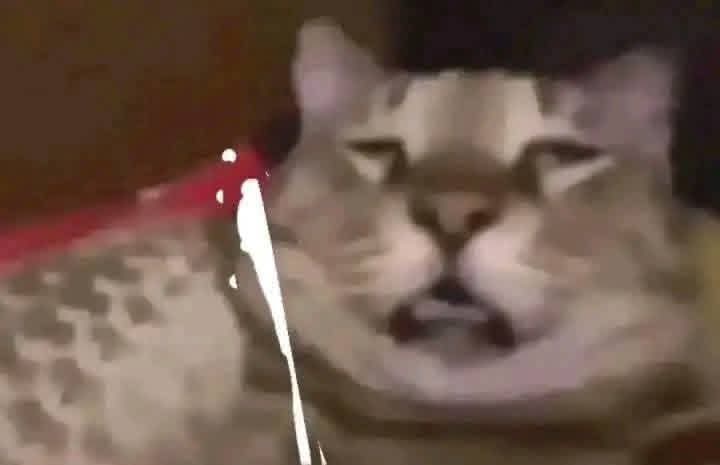 Maestre Mapaxito tweet media