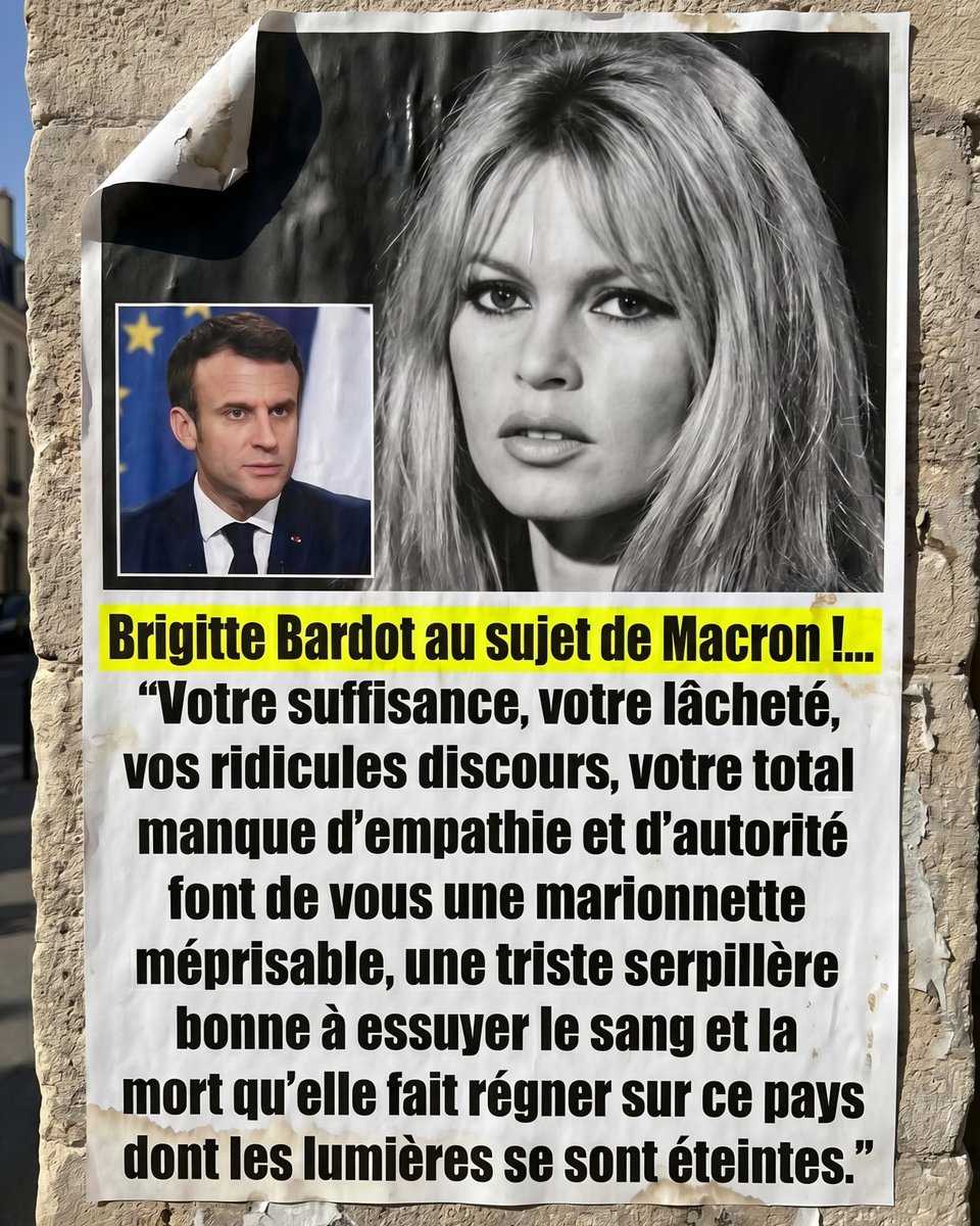 LolitA🌸🦋 tweet media